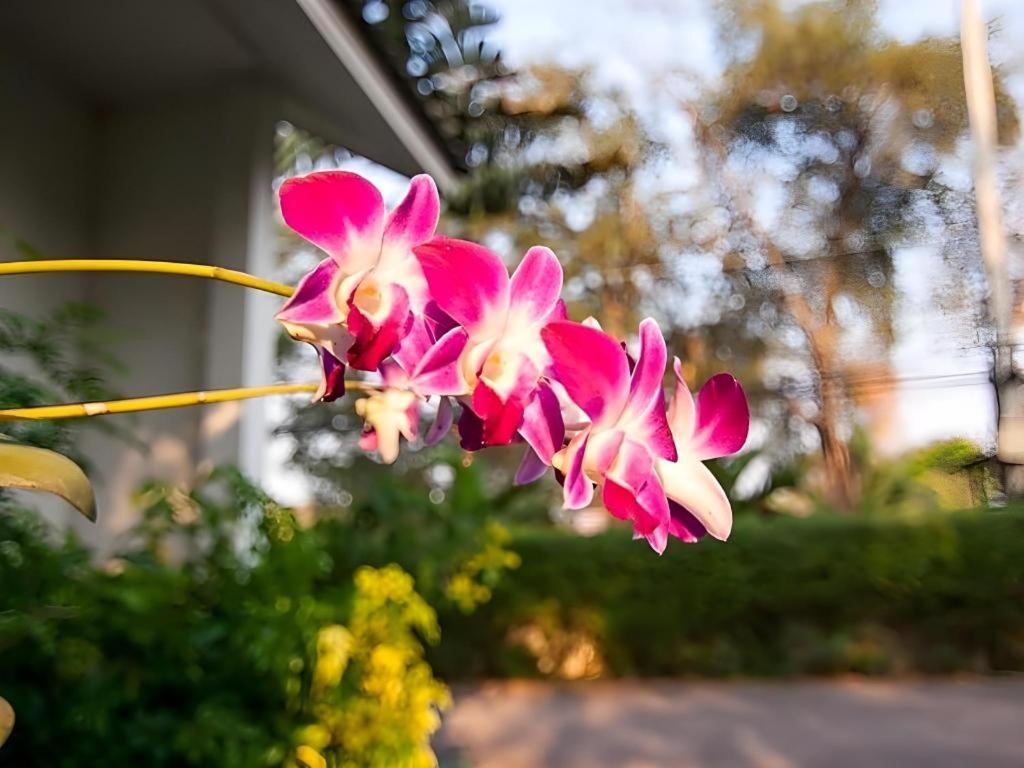 Chayada Garden House And Resort Hotel Nakhonratchasima Esterno foto